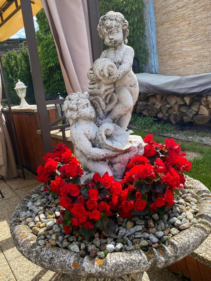Penzion Vila Petra Bed&Breakfast Veľký Slavkov Exterior foto